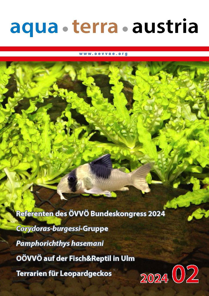 ATA Titel Februar 2024