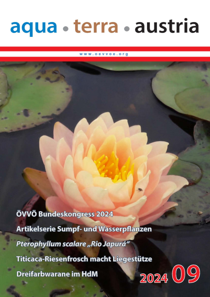 ATA Titel September 2024