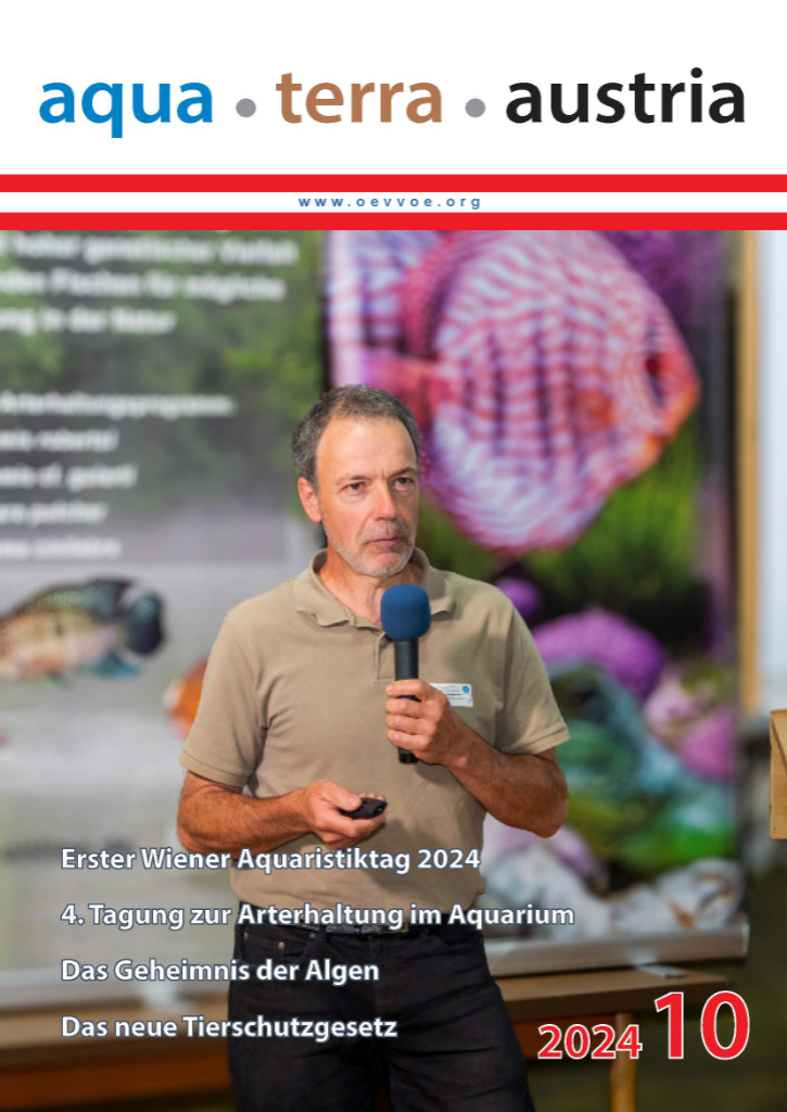 ATA Titel Oktober 2024