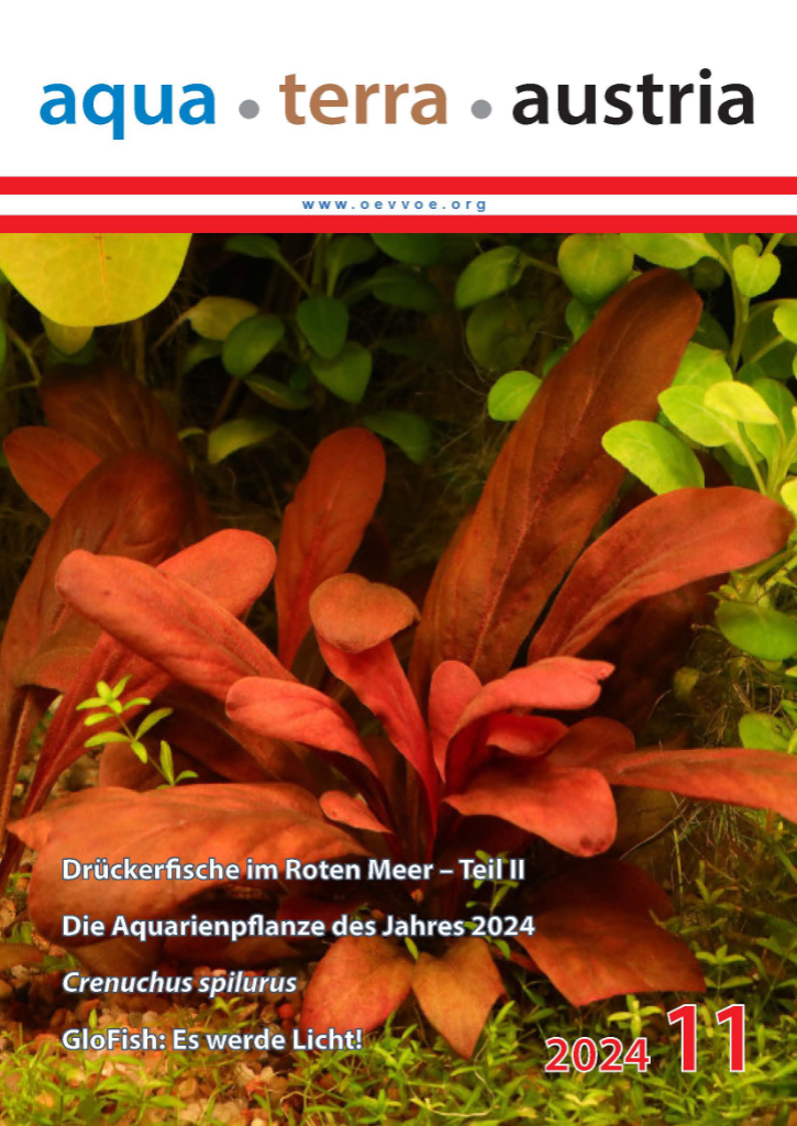 ATA Titel November 2024