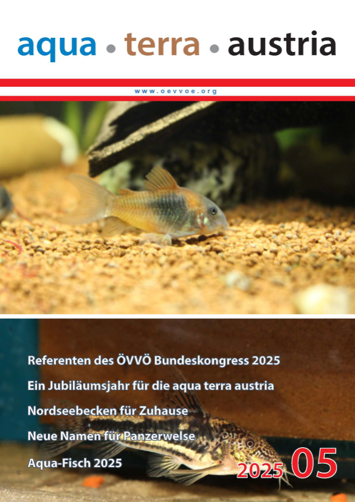 ATA Titel Mai 2025