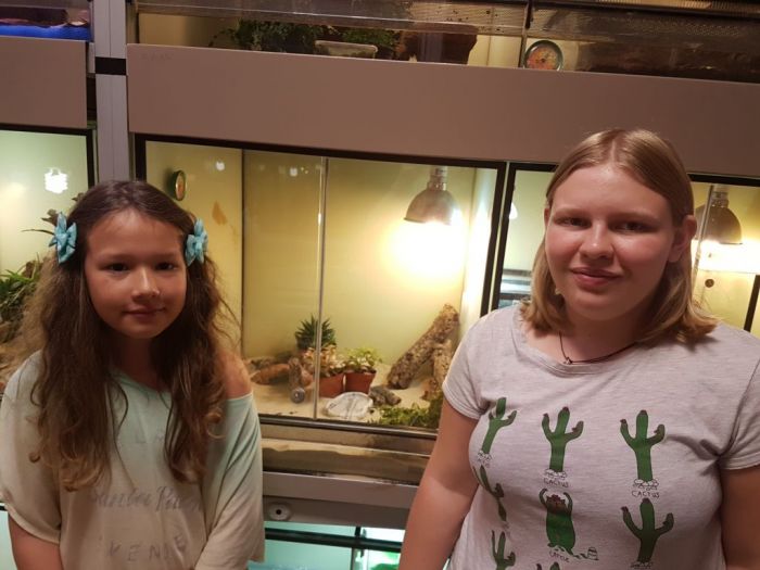 Fertiges Großkopfterrarium