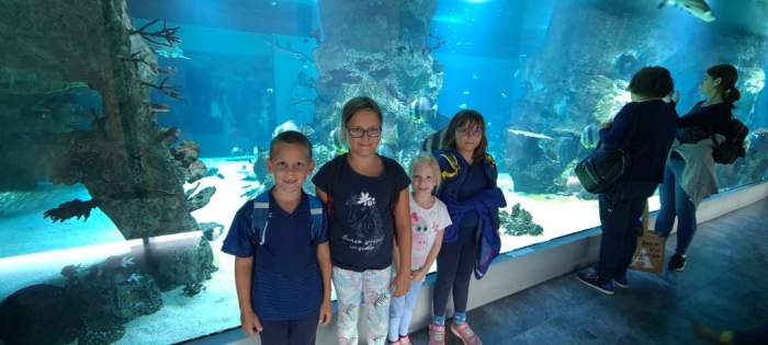 "Eintauchen" in die Welt des Meeres