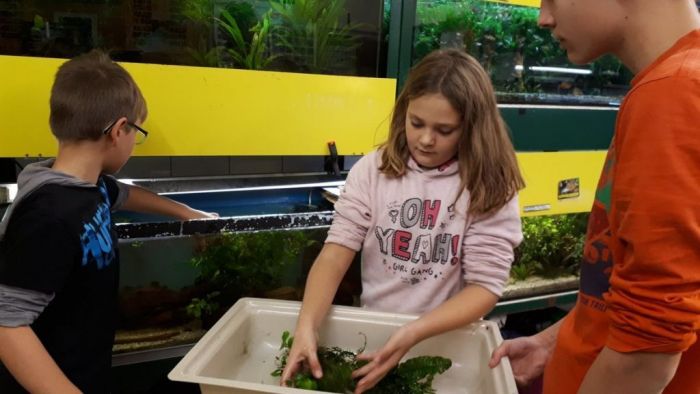 Kinder und Jugendaquaristikgruppe Falkenberg Moliwe River Projekt
