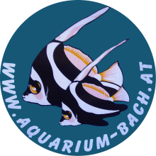 Aquarium Bach