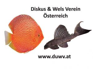 1.Diskus & Wels Verein Österreich 1.Diskus & Wels Verein Österreich
