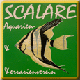 Aquarien und Terrarienverein Scalare