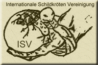 Internationale Schildkröten Vereinigung