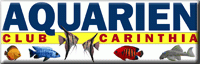 Aquarien-Club Carinthia Aquarien-Club Carinthia