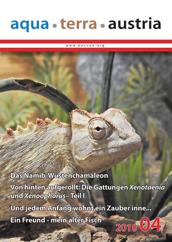 ATA Titel April 2018