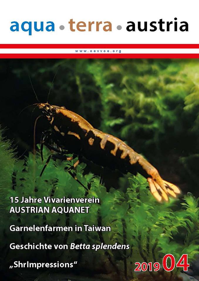 ATA Titel April 2019