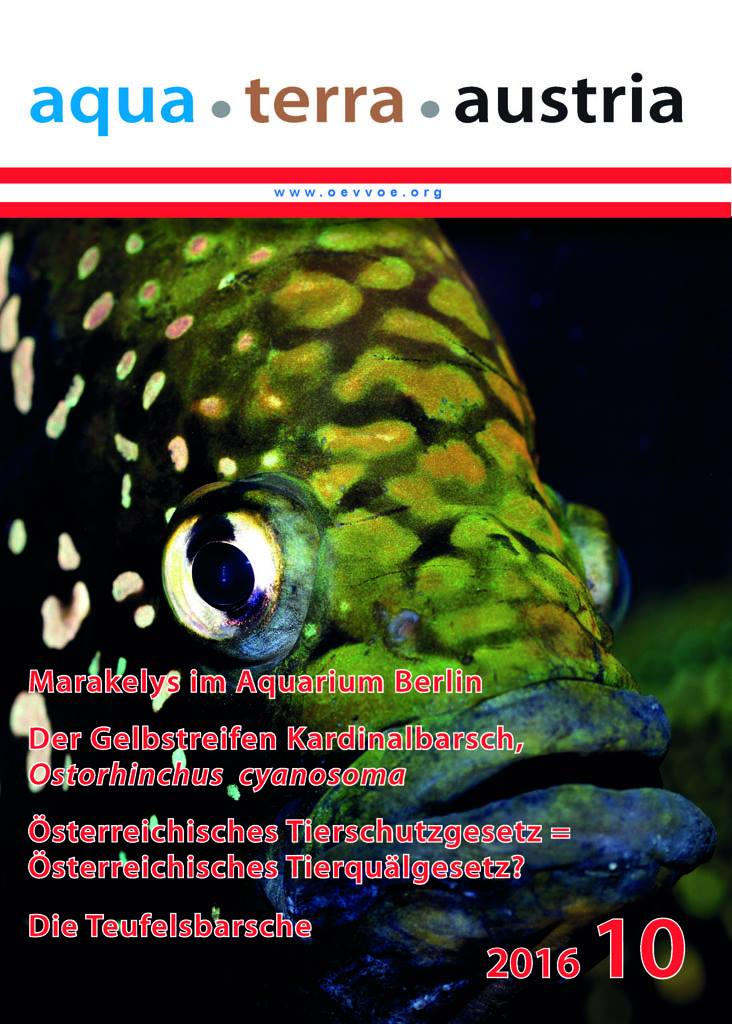 ATA Titel Oktober 2016