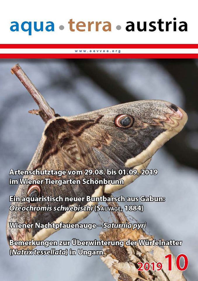 ATA Titel Oktober 2019