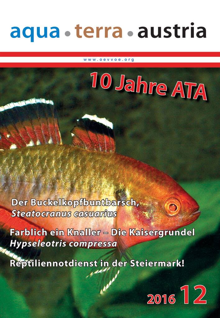 ATA Titel Dezember 2016