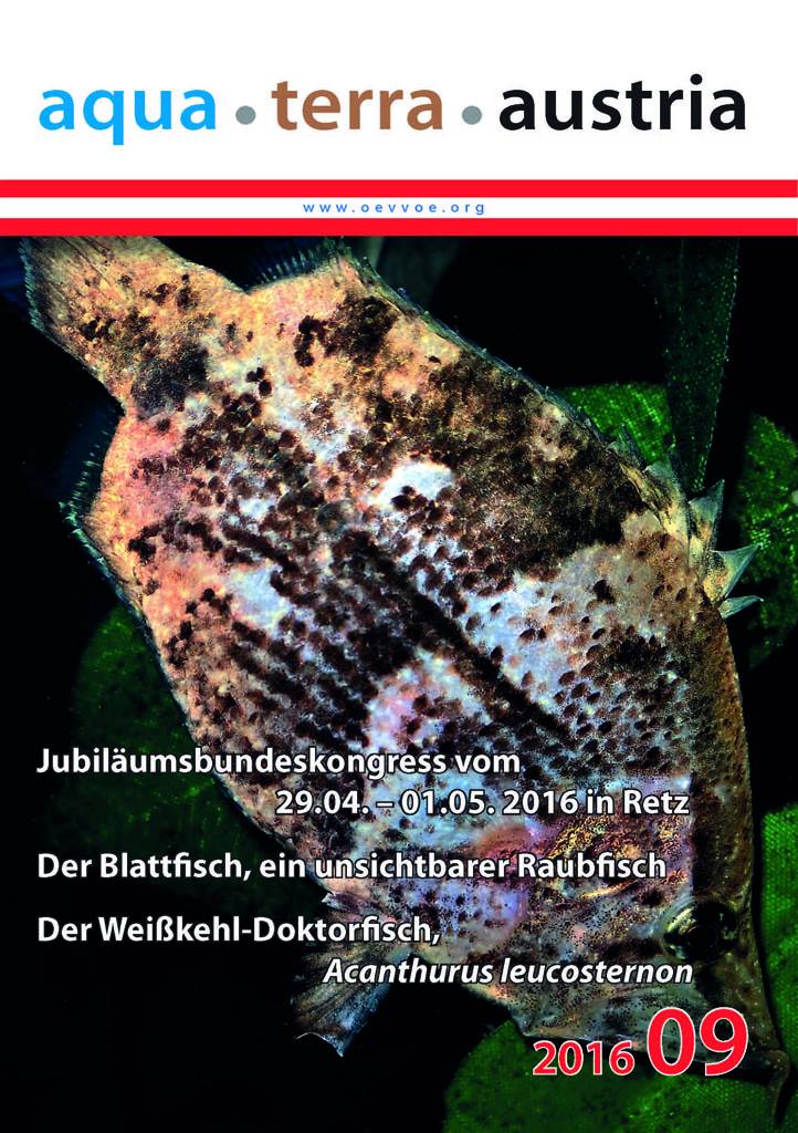 ATA Titel September 2016