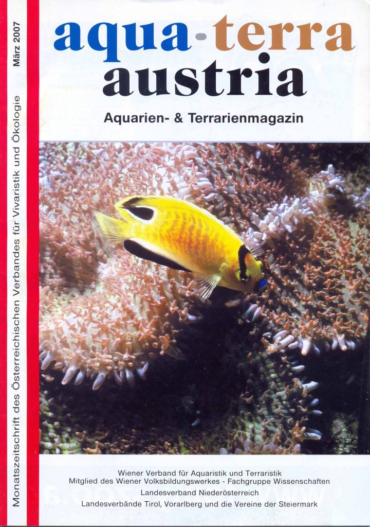 ATA Titel März 2007