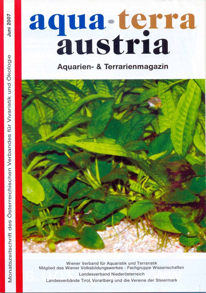 ATA Titel Juni 2007