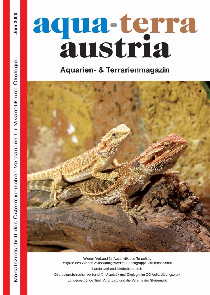 ATA Titel Juni 2008