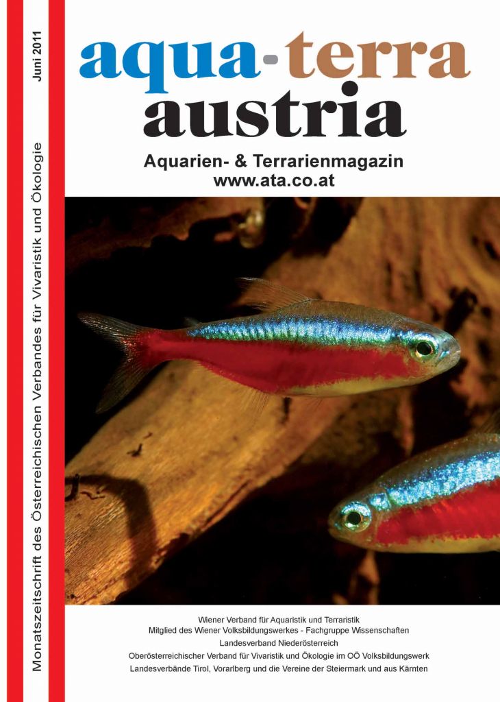 ATA Titel Juni 2011