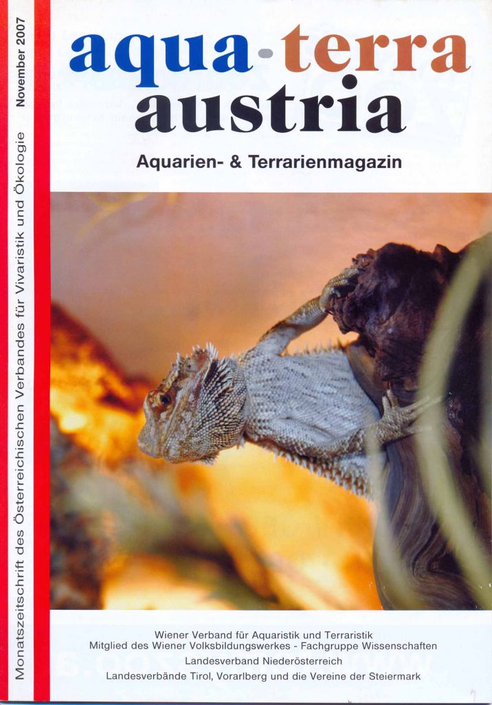 ATA Titel November 2007