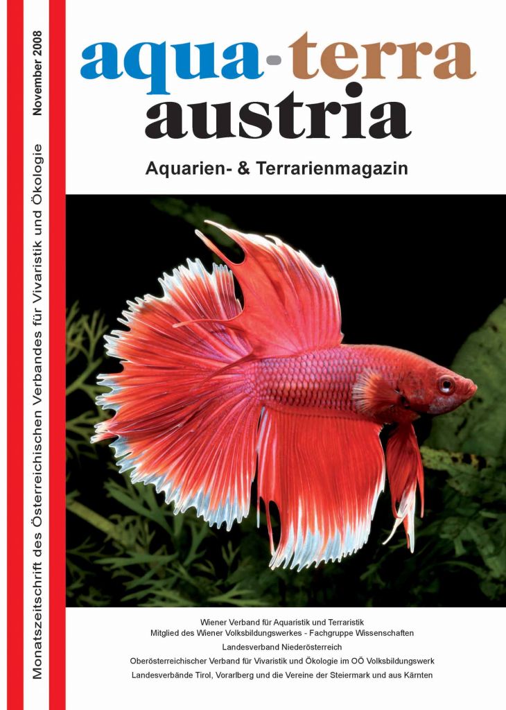 ATA Titel November 2008