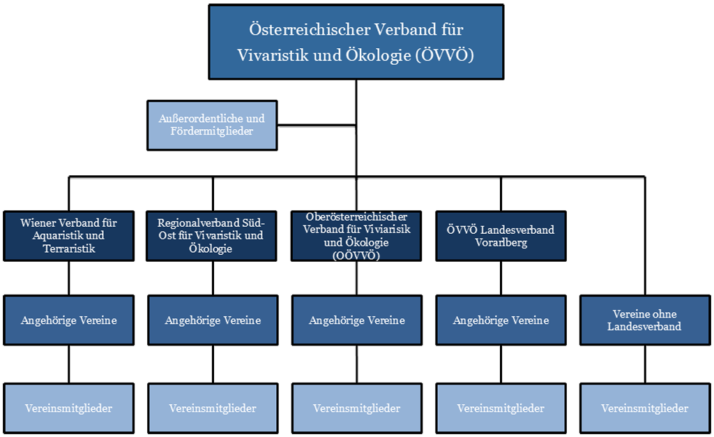 Organigramm des ÖVVÖ